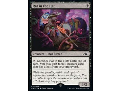 Rat in the Hat