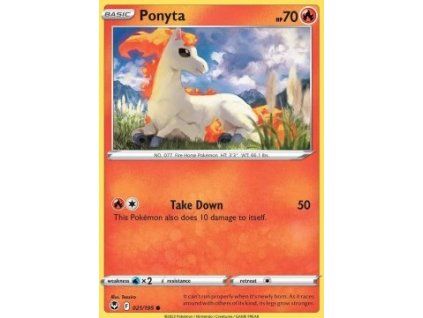 Ponyta