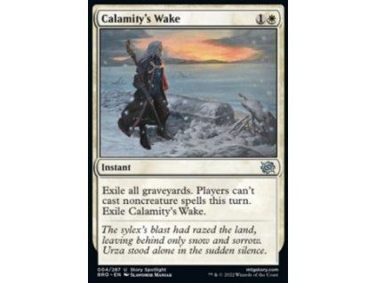 Calamity's Wake