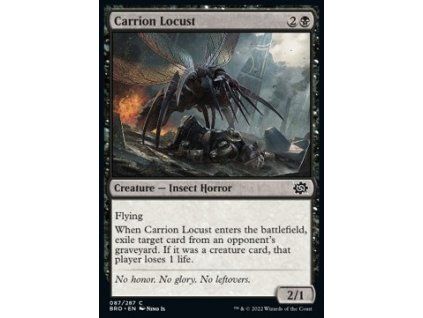 Carrion Locust