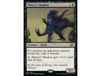 Misery's Shadow