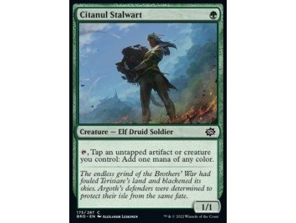 Citanul Stalwart