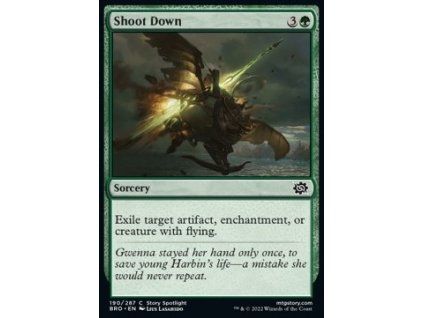 Shoot Down