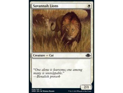 Savannah Lions