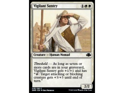 Vigilant Sentry