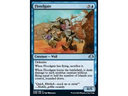 Floodgate