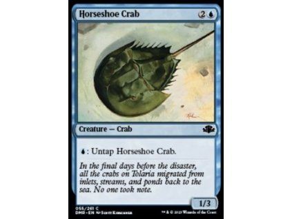 Horseshoe Crab
