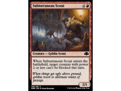 Subterranean Scout