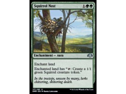 Squirrel Nest