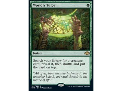 Worldly Tutor