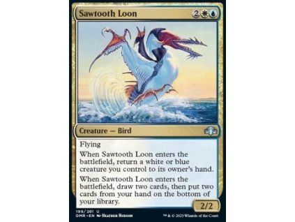 Sawtooth Loon