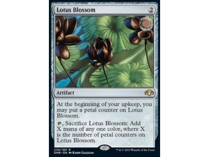 Lotus Blossom