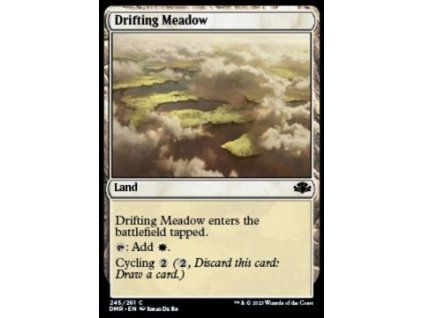 Drifting Meadow