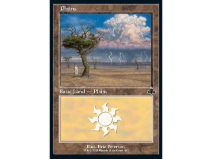 Plains (V.2)