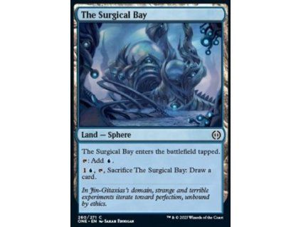 The Surgical Bay