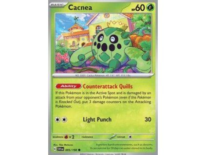 Cacnea