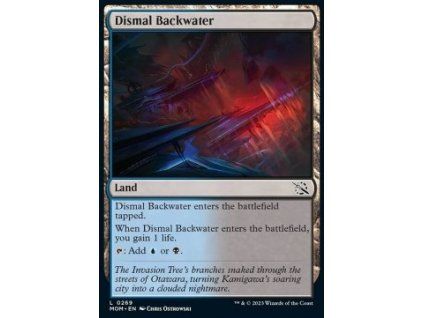 Dismal Backwater