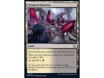 Scoured Barrens