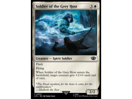 Soldier of the Grey Host