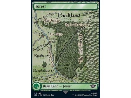 Forest - Full Art (V.3)