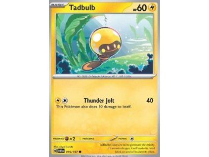 Tadbulb (OBF 075)