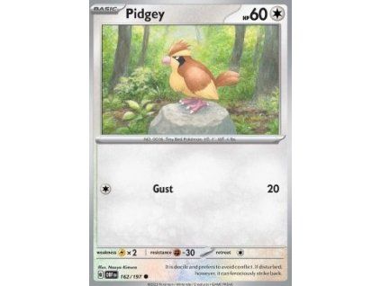 Pidgey (OBF 162)