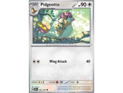Pidgeotto (OBF 163)