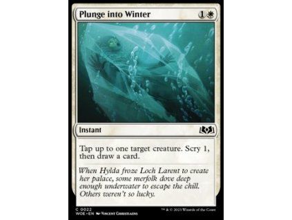 Plunge into Winter