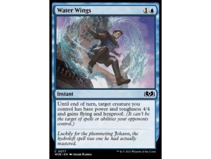 Water Wings