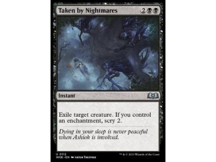 Taken by Nightmares