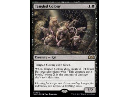 Tangled Colony