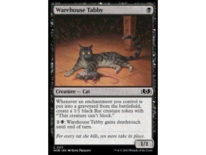 Warehouse Tabby