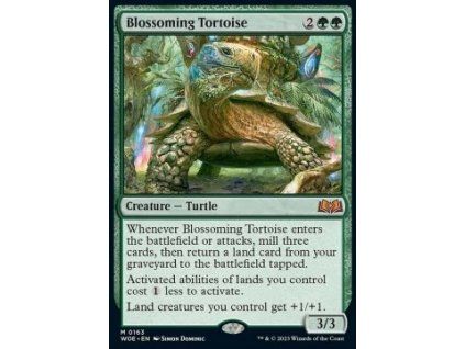 Blossoming Tortoise