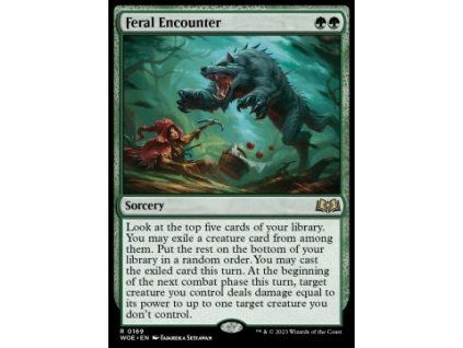 Feral Encounter