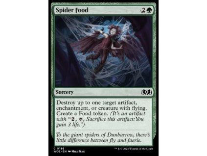 Spider Food