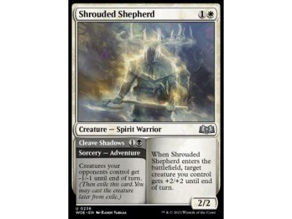 Shrouded Shepherd // Cleave Shadows