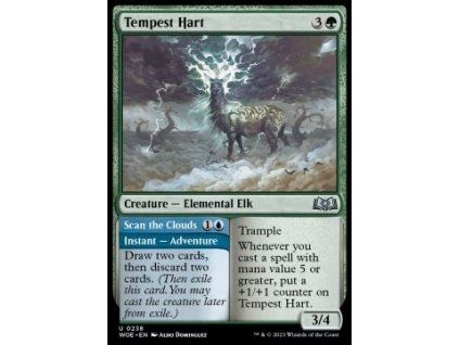 Tempest Hart // Scan the Clouds