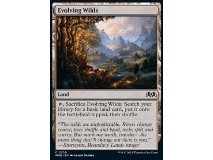 Evolving Wilds
