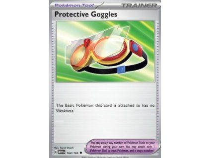 Protective Goggles (MEW 164)