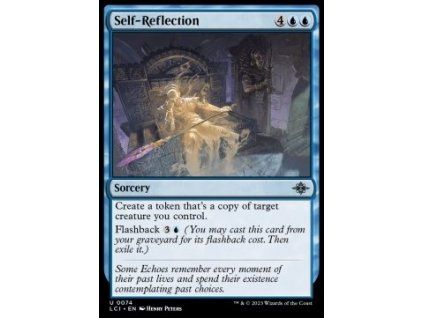 Self-Reflection