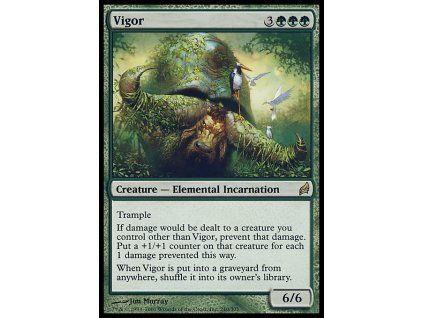 Vigor - NON ENG