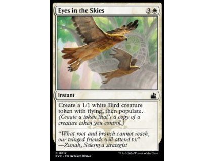 Eyes in the Skies