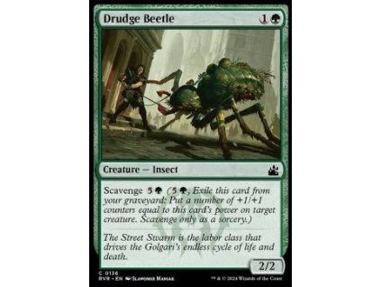 Drudge Beetle