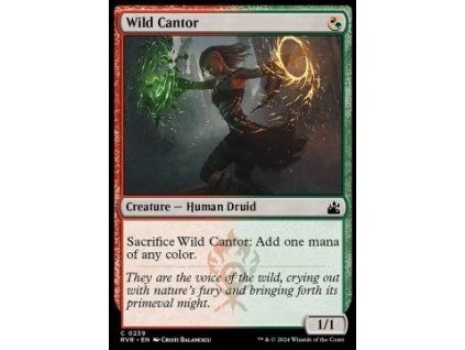 Wild Cantor