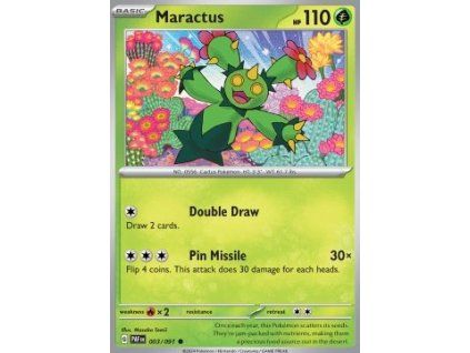 Maractus (PAF 003)