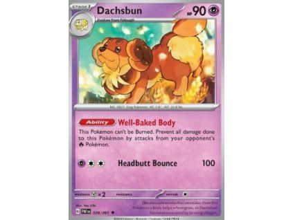 Dachsbun (PAF 039)