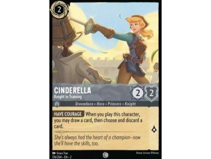 Cinderella - Knight in Training