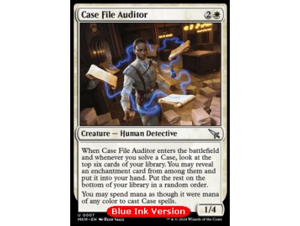 Case File Auditor (V.1) - Modrá verze