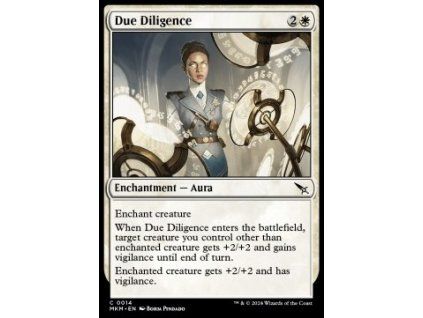 Due Diligence