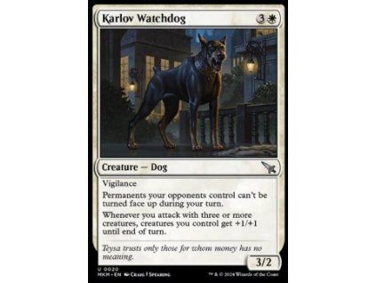 Karlov Watchdog